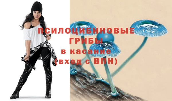 хмурый Дмитровск