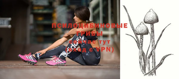 синтетический гашиш Дмитриев