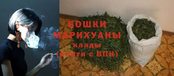 молекула духа Дмитров