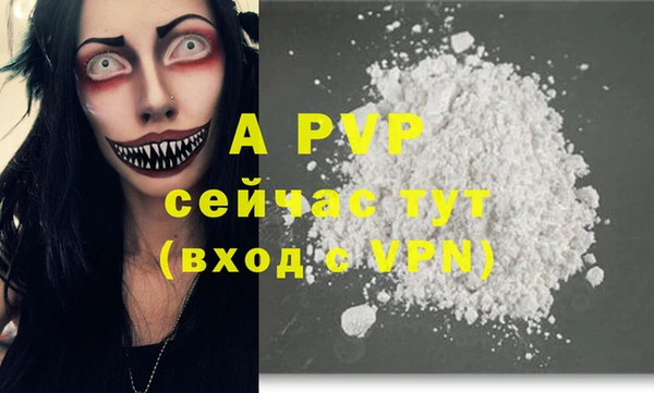 молекула духа Дмитров