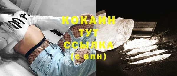 молекула духа Дмитров