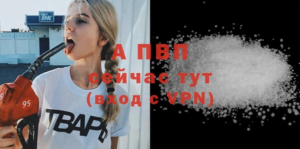 хмурый Дмитровск